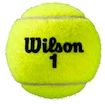 Palline da tennis Wilson  Roland Garros All Court (4 Pack)