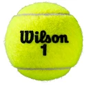 Palline da tennis Wilson  Roland Garros All Court (4 Pack)