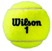 Palline da tennis Wilson  Roland Garros Clay (3 pz)