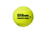 Palline da tennis Wilson  Triniti Pro (4 pz)