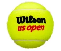 Palline da tennis Wilson US Open (4 pz)