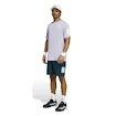 Pantaloncini da uomo adidas  Club Tennis Climacool 3-Stripes Shorts Aurora Ivy