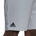 Pantaloncini da uomo adidas  Ergo Short Halo Silver