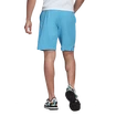 Pantaloncini da uomo adidas  Ergo Short Sky Rush