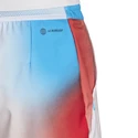 Pantaloncini da uomo adidas  Melbourne Ergo Printed Shorts White/Red