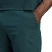 Pantaloncini da uomo adidas  Tennis Climacool Ergo Shorts Aurora Ivy