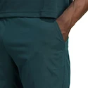 Pantaloncini da uomo adidas  Tennis Climacool Ergo Shorts Aurora Ivy