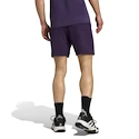 Pantaloncini da uomo adidas  Tennis Climacool Ergo Shorts Purple