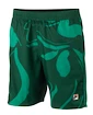 Pantaloncini da uomo Fila  Shorts Leo Aventurine/Print M