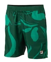 Pantaloncini da uomo Fila  Shorts Leo Aventurine/Print M