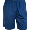 Pantaloncini da uomo FZ Forza  Landers Estate Blue