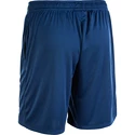 Pantaloncini da uomo FZ Forza  Landers Estate Blue