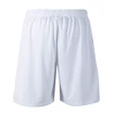 Pantaloncini da uomo FZ Forza  Landos M Shorts White