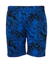 Pantaloncini da uomo FZ Forza  Luton M Shorts Olympian Blue XL
