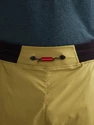 Pantaloncini da uomo Klättermusen  Nal Shorts Meadow Green SS22