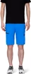 Pantaloncini da uomo Mammut  Runbold Shorts Ice