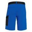 Pantaloncini da uomo Salewa  Pedroc Cargo 2 Dst Electric