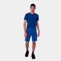 Pantaloncini da uomo Salewa  Pedroc Cargo 2 Dst Electric