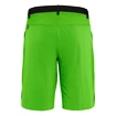 Pantaloncini da uomo Salewa  Puez 3 Dst Pale Frog