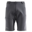 Pantaloncini da uomo Salomon  Wayfarer Shorts Ebony