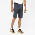 Pantaloncini da uomo Salomon  Wayfarer Shorts Ebony