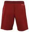 Pantaloncini da uomo Tecnifibre  Club Short Cardinal