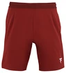 Pantaloncini da uomo Tecnifibre  Club Short Cardinal