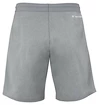 Pantaloncini da uomo Tecnifibre  Club Short Silver