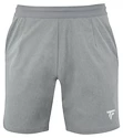 Pantaloncini da uomo Tecnifibre  Club Short Silver