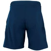 Pantaloncini da uomo Tecnifibre  Stretch Blue