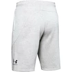 Pantaloncini da uomo Under Armour
