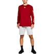 Pantaloncini da uomo Under Armour