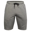 Pantaloncini da uomo Under Armour
