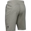 Pantaloncini da uomo Under Armour