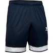 Pantaloncini da uomo Under Armour