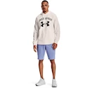 Pantaloncini da uomo Under Armour