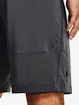 Pantaloncini da uomo Under Armour  Raid 2.0 Shorts-GRY