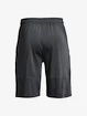 Pantaloncini da uomo Under Armour  Raid 2.0 Shorts-GRY