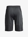 Pantaloncini da uomo Under Armour  Raid 2.0 Shorts-GRY