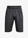 Pantaloncini da uomo Under Armour  Raid 2.0 Shorts-GRY