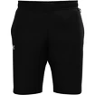 Pantaloncini da uomo Under Armour  TERRY SHORT-BLK