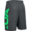 Pantaloncini da uomo Under Armour  Vanish Woven Emboss