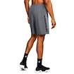 Pantaloncini da uomo Under Armour  Woven Graphic Wordmark Short Grey