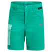 Pantaloncini per bambini Jack Wolfskin  Active Shorts Deep Mint