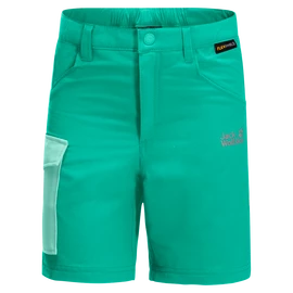 Pantaloncini per bambini Jack Wolfskin Active Shorts Deep Mint