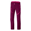 Pantaloni da donna Dynafit  MERCURY 2 DST W PNT