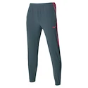Pantaloni da donna Mizuno  Charge Printed Pant Turbulence  XL