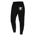 Pantaloni da uomo 47 Brand  NHL Anaheim Ducks Imprint ’47 BURNSIDE Pants