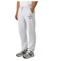 Pantaloni da uomo CCM  Athleisure Jogger Grey Melange