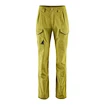 Pantaloni da uomo Klättermusen  Grimner Pant Meadow Green/Meadow Green XL